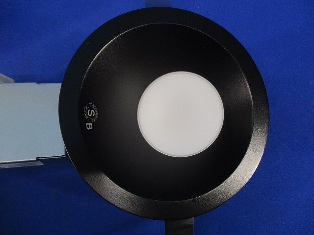 LEDダウンライト(電球色) OD261292