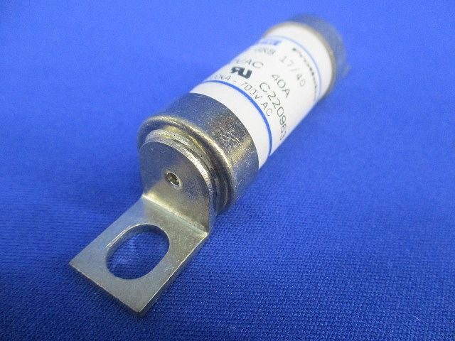 ヒューズ(2個入) C220963
