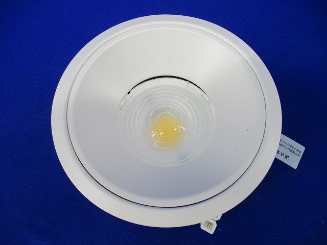 LEDベースダウンライト(本体のみ)φ100 ERD6594WA