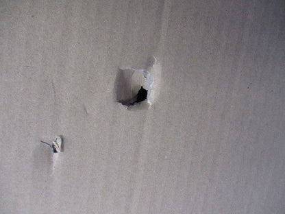 換気扇 給排気グリル PZ-N20FGP3