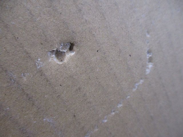 換気扇 給排気グリル PZ-N20FGP3