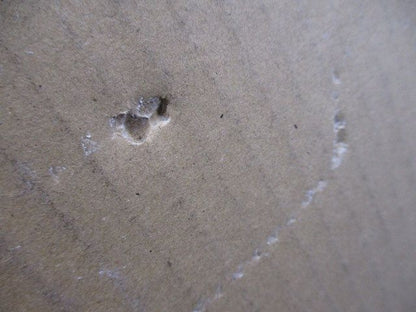 換気扇 給排気グリル PZ-N20FGP3