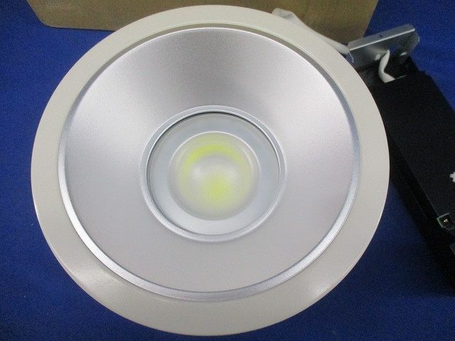LED一体形ダウンライトφ200 LEDD-95021FN-LD9