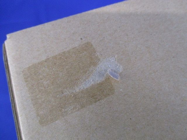 LEDダウンライト 昼白色 5000K LED一体型 調光器併用不可 AD70039L