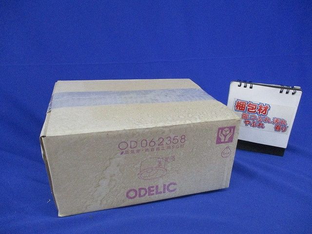 白熱灯ダウンライトφ125 OD062358