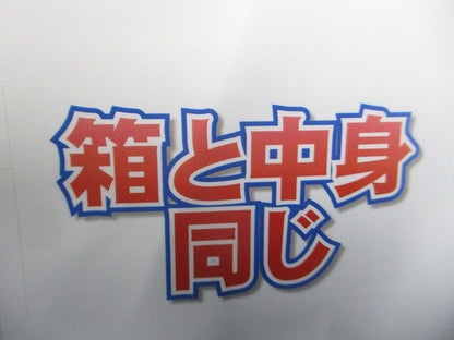 キャビネット(銘盤付)(銘板T-A・T-Bどちらが届くか指定不可) B12-610C