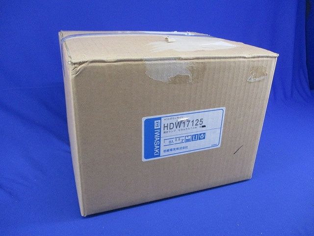 HIDランプダウンライト ユニバーサルφ175(ランプ無) HDW17125