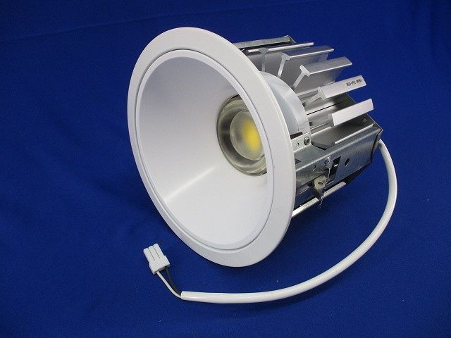 LEDダウンライト 昼白色 電源別売 BML-29532E
