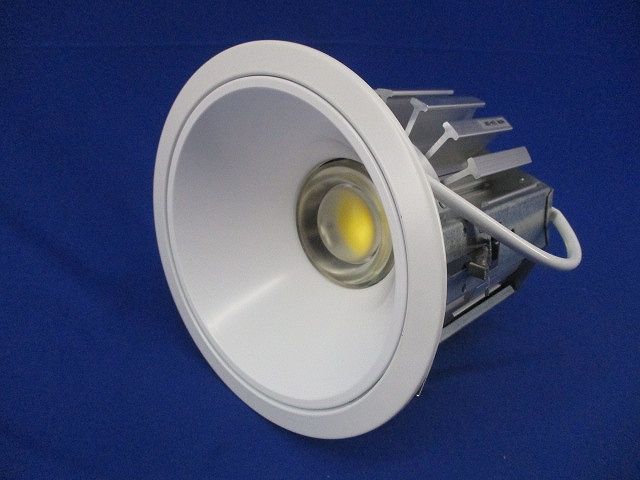 LEDダウンライト 昼白色 電源別売 BML-29532E