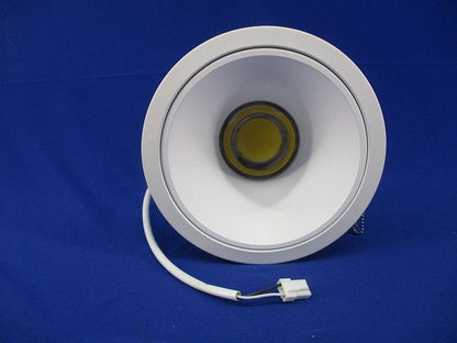 LEDダウンライト 昼白色 電源別売 BML-29532E