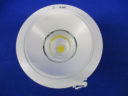 LEDダウンライトφ100(昼白色) LEDD-25031MN