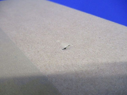 浅型ベースダウンライト 高気密SB形 3500K 温白色 LED交換不可 EFD9041W