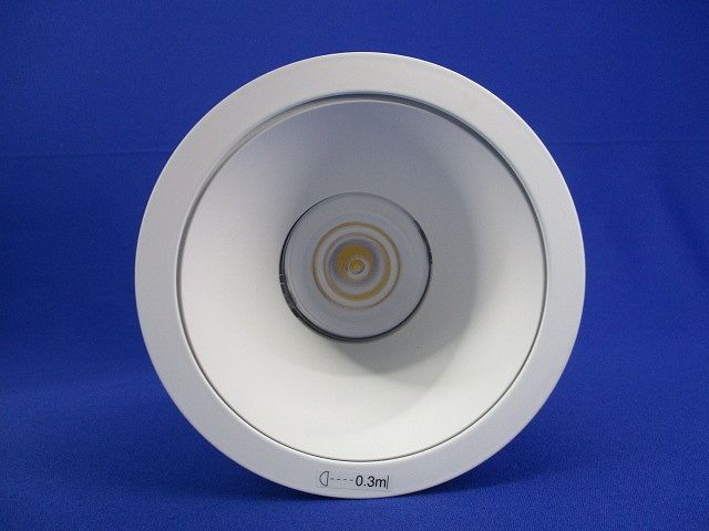 シーリングライト(白色) NCN29301WLE1-RD8