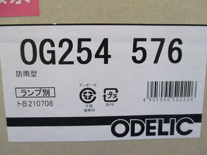 LEDスポットライト(ランプ別売) OG254576
