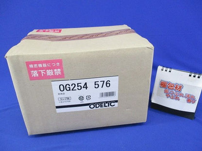 LEDスポットライト(ランプ別売) OG254576