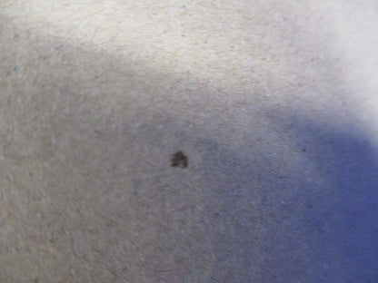 LEDダウンライト LEDD-183205-LS9+LEEU-1503WW-02 LEKD1533215WW-LS9