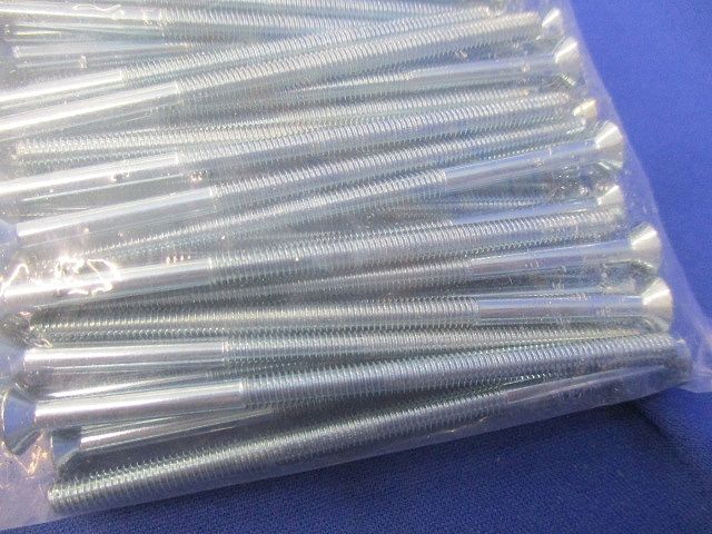 皿小ネジ(100個入×2)(新品未開封) 4×75