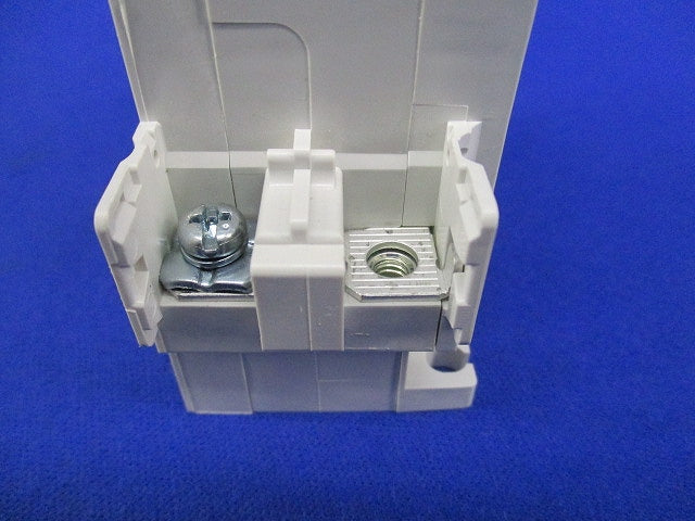 サーキットプロテクタ 2P2E0.3A(ビス不足) CP30-BA