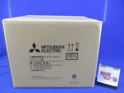(+)バインド小ネジ(ユニクロ)(500本入)(撮影の為開梱) 4×25