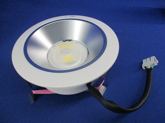 LEDダウンライトφ125(電源ユニット別売) NDN48505S