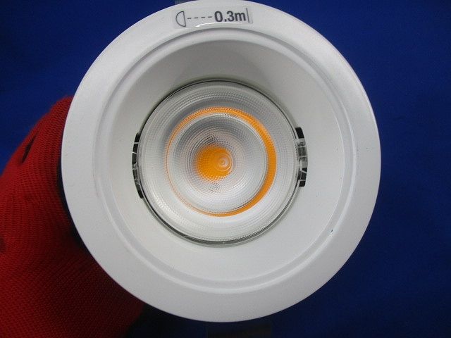 LEDダウンライトφ75(電源ユニット別売)(ホワイト) NDN28009W