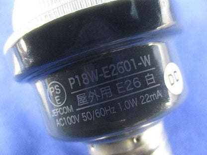 LEDサイン球E26(2個入) P18W-E2601-W