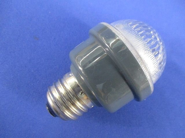 LEDサイン球E26(2個入) P18W-E2601-W