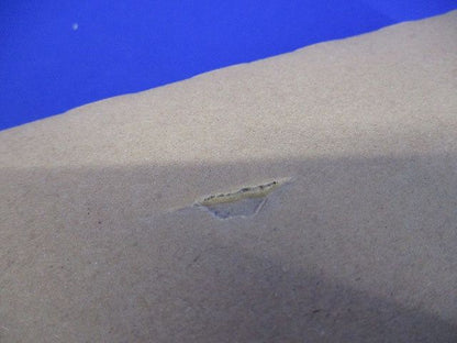 ベースライト本体のみ 20形 逆富士形 W120 LEDバー別売 LEET-21204-LS9