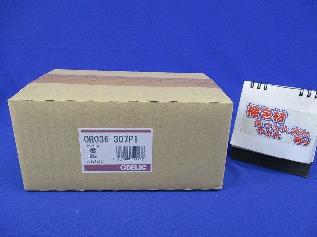 LED非常用照明器具(新品未開梱)(19年製) OR036307P1