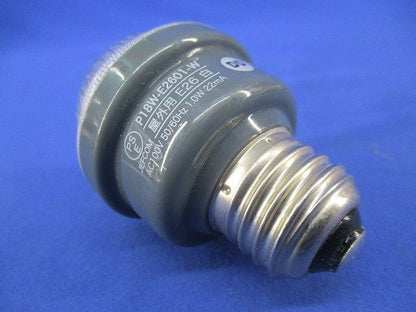 LEDサイン球E26(点灯試験済) P18W-E2601-W