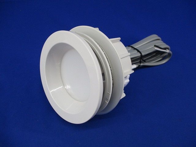 LEDダウンライト LE-D1-3A-1