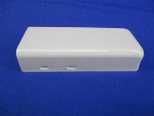 B型エンドキャップ(10個入)(ミルキーホワイト)National DZB257E