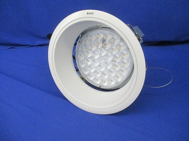 LEDベースダウンライト 電源ユニット無 φ200 電球色 ERD2198W