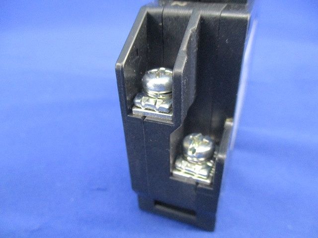 サーキットブレーカ2P1E30A NX51A