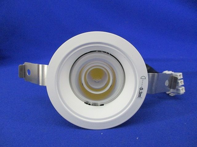 LEDダウンライトφ75(昼白色) LEDD-25013MN