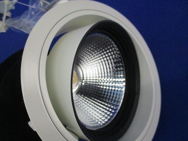 LEDダウンライトφ125(電球色)(汚れ有) LZD-91960YW