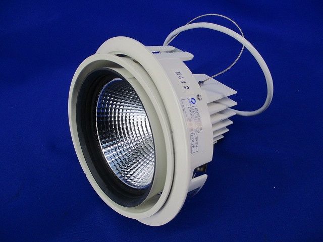 LEDダウンライトφ125(電球色) LZD-91960YW