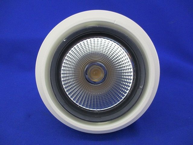 LEDダウンライトφ125(電球色) LZD-91960YW