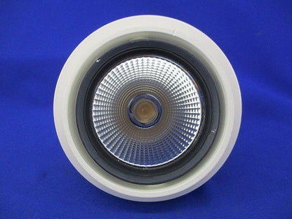 LEDダウンライトφ125(電球色) LZD-91960YW