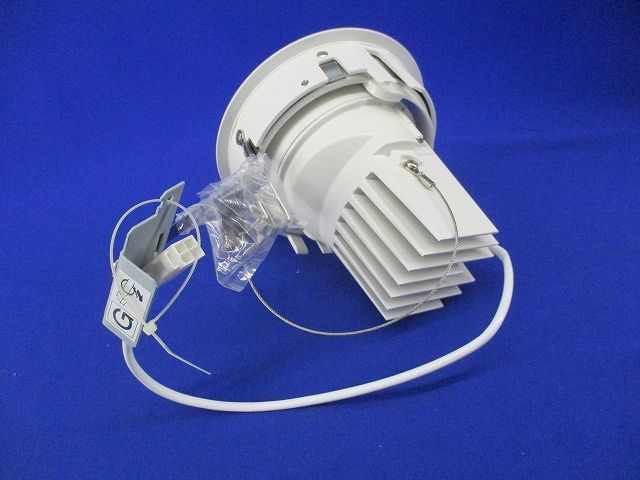 LEDダウンライトφ125(電球色) LZD-91960YW