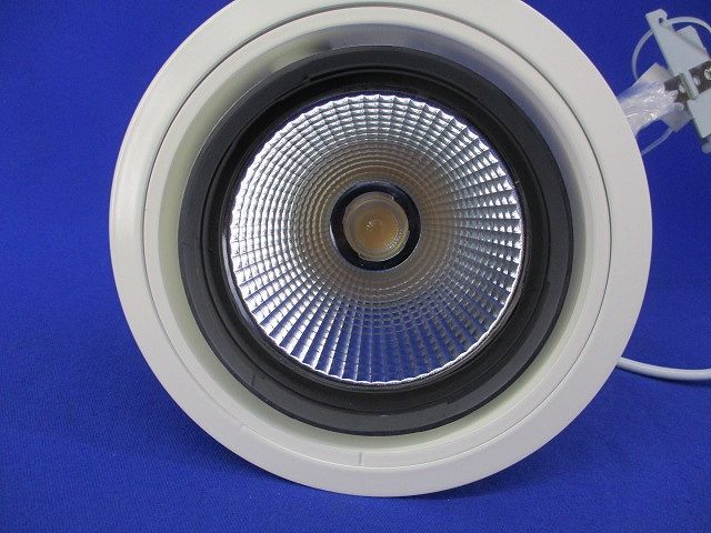 LEDダウンライトφ125(電球色) LZD-91960YW