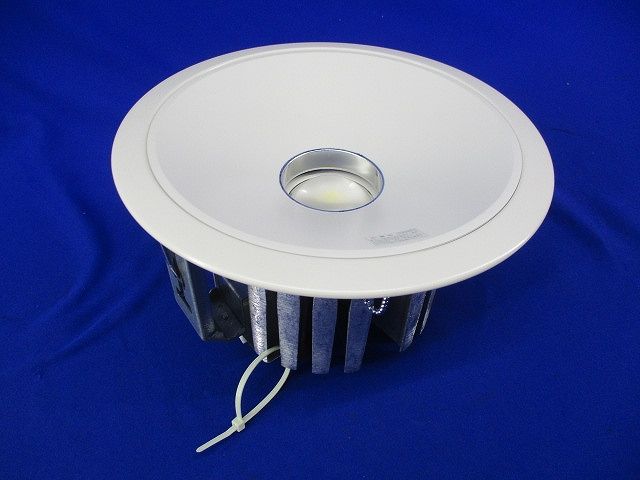 LEDダウンライトφ200 LZD-91917WW