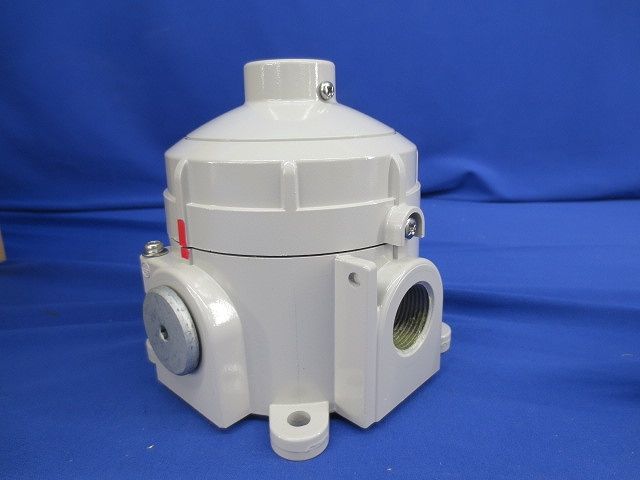 吊下金具付閉栓22ｍｍ(鉄)(5個入)(汚れ有) AGA16FEB02-PB