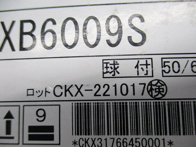 ＬＥＤ アウトドアスポットライト １２０００Ｋ−１８００Ｋ相当 無線調 (ランプ付) SXB6009S