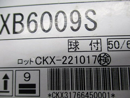 ＬＥＤ アウトドアスポットライト １２０００Ｋ−１８００Ｋ相当 無線調 (ランプ付) SXB6009S