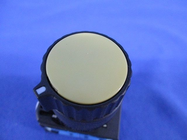 押しボタンスイッチ(2個入)(黄色) AR22S2R-20Y