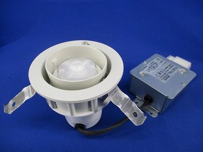 LEDダウンライトφ100(昼白色) LGB73280LE1