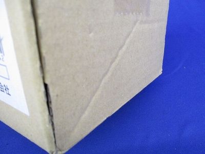 LEDダウンライトφ100(新品未開梱) NDN28316W