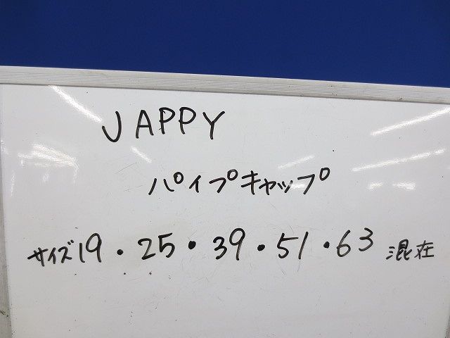 パイプキャップセット(サイズ混在42個入) 19他