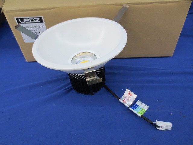 ダウンライトφ200(2個入)(ナチュラルホワイト) GSTD0007WA-40K200